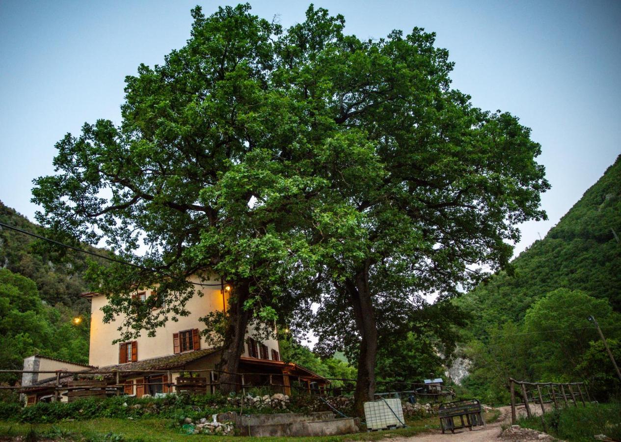 Agriturismo Le Due Querce Cerreto di Spoleto Exteriör bild